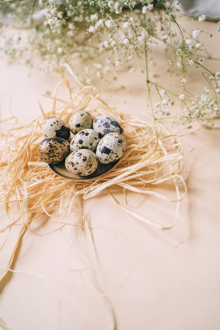 Quail Eggs In A Nest