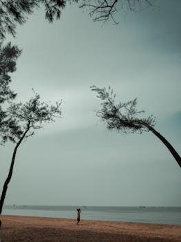 Tranquil beach scene with a lone figure and leaning trees on a cloudy day.