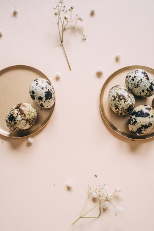 Quail Eggs on Brown Coasters 