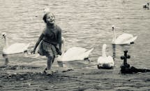 在布拉格，一个快乐的孩子正在水边与天鹅玩耍