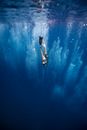 Unrecognizable lady swimming underwater after jumping in ocean