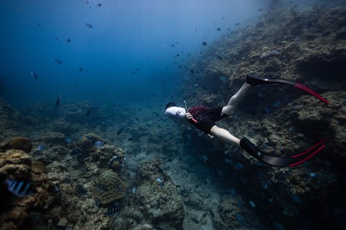 Side view of anonymous male diver in flippers swimming under clear water of ocean near picturesque coral reefs and exotic fishes