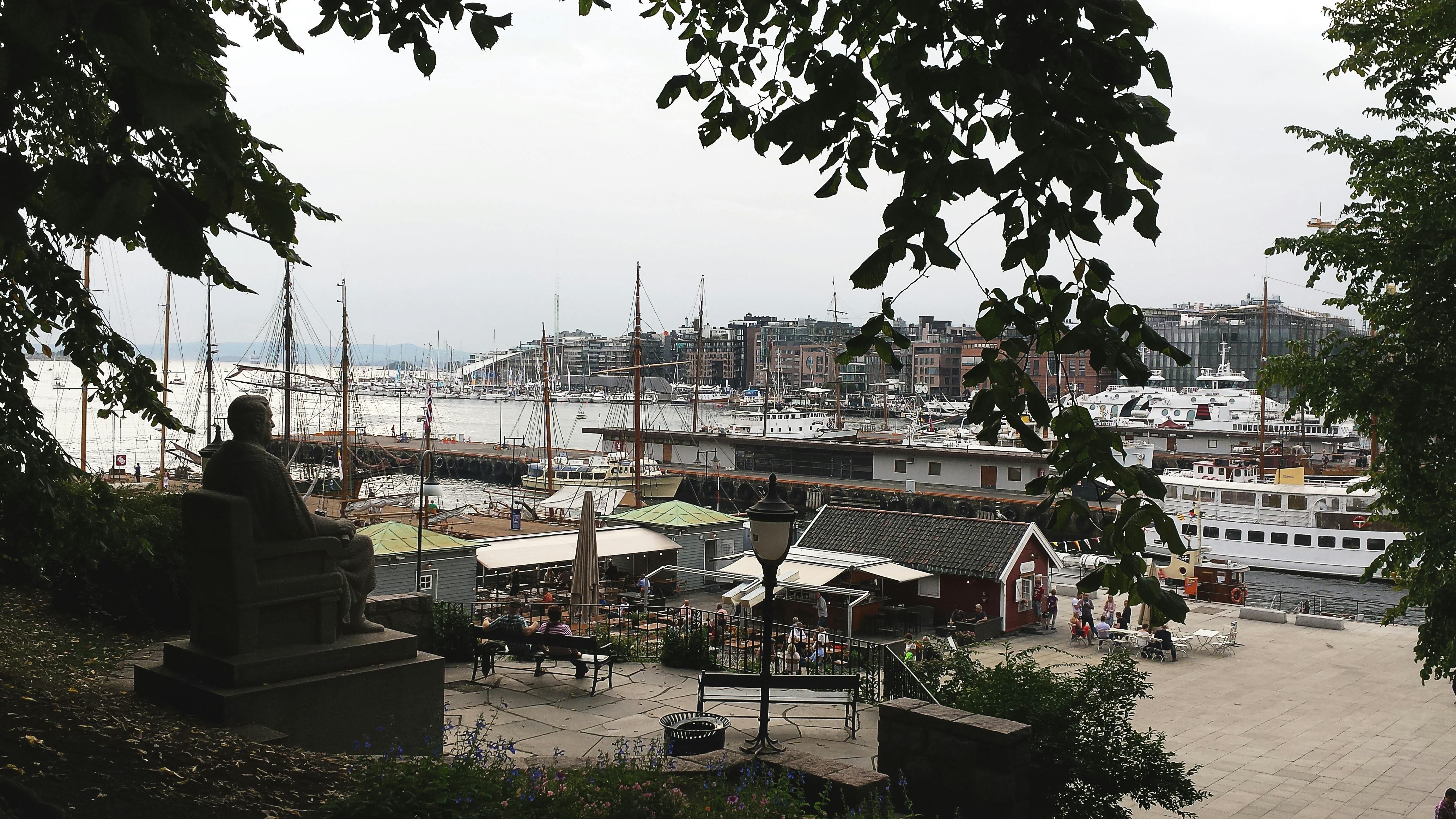 Free stock photo of bay, boats, docks