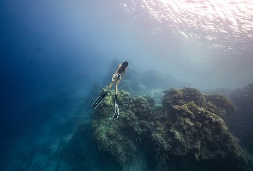 Foto profissional grátis de ação, água, água do mar