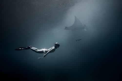 Side view of anonymous diver in diving suit swimming in dark deep waters of ocean with shark