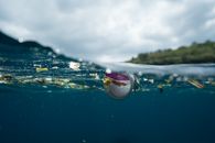 Plastic and rubbish floating in blue water of ocean against green island in daytime