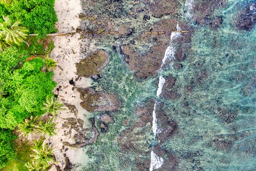Free Stunning aerial shot of a tropical beach in Banten, Indonesia, featuring lush greenery and clear blue waters. Stock Photo