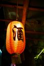 Orange and Black Pendant Lamp