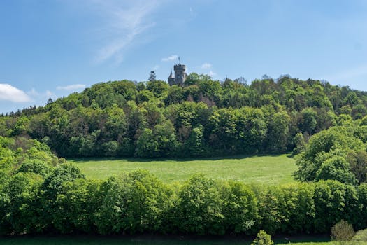 A scenic view of Meiningen Castle atop a lush green hill under a bright summer sky.