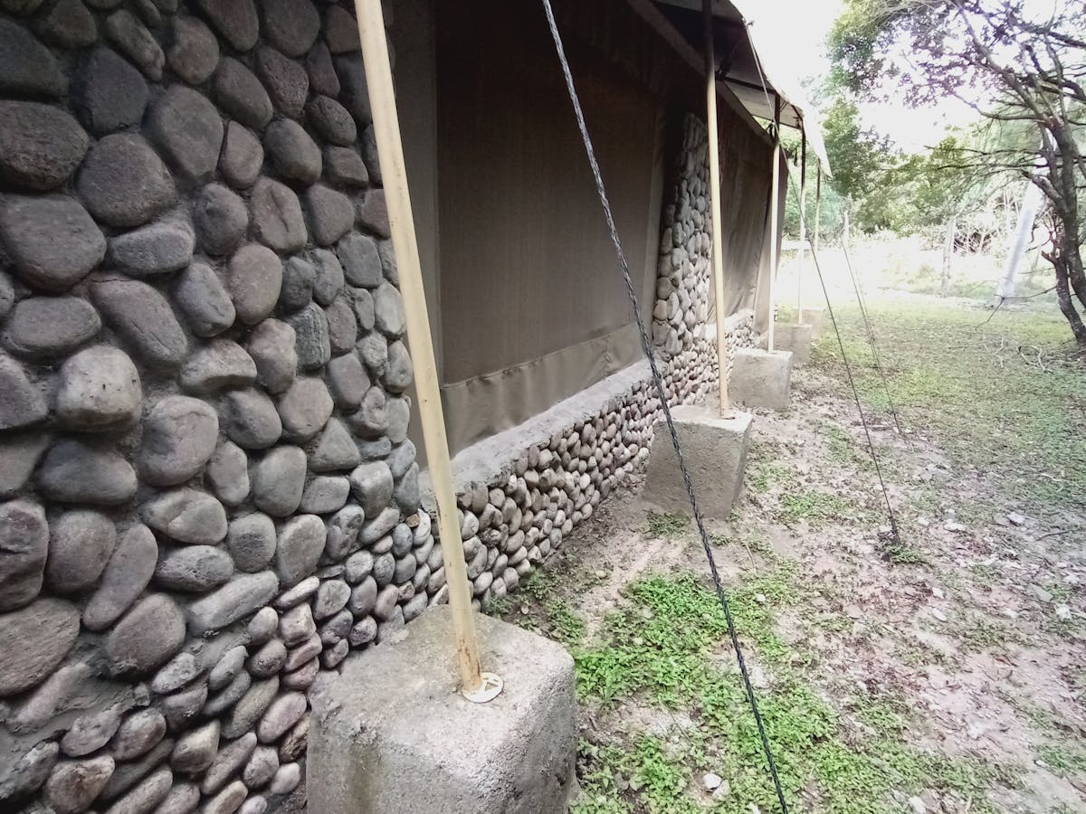 Close-up of a person holding a medication pen and a bowl of fresh vegetables