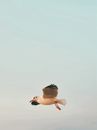 Seagull flying in cloudy sky