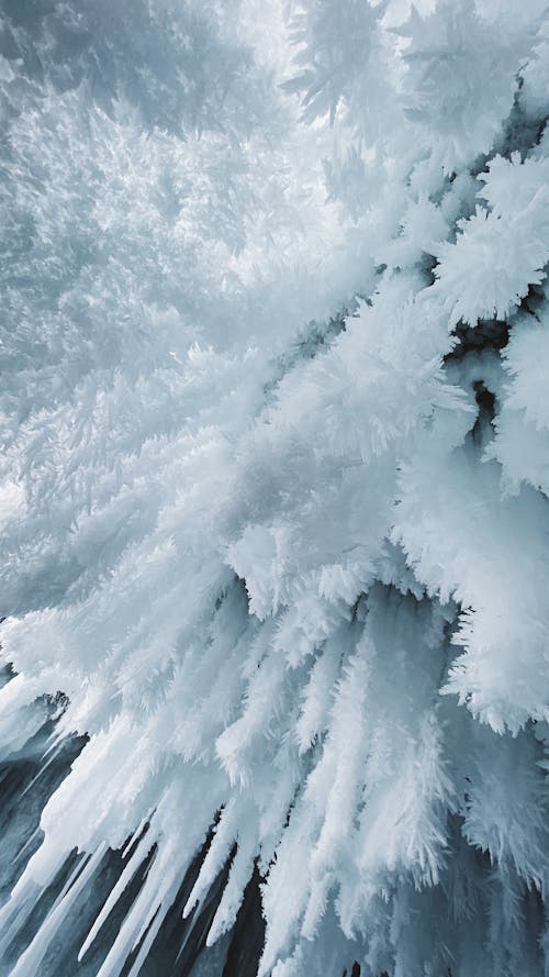 White Icicles in the Frozen Cave