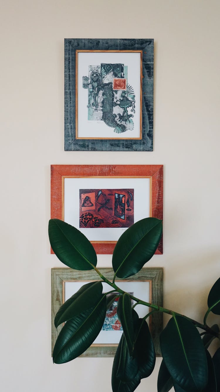 Three Framed Pictures On A Wall And A Houseplant