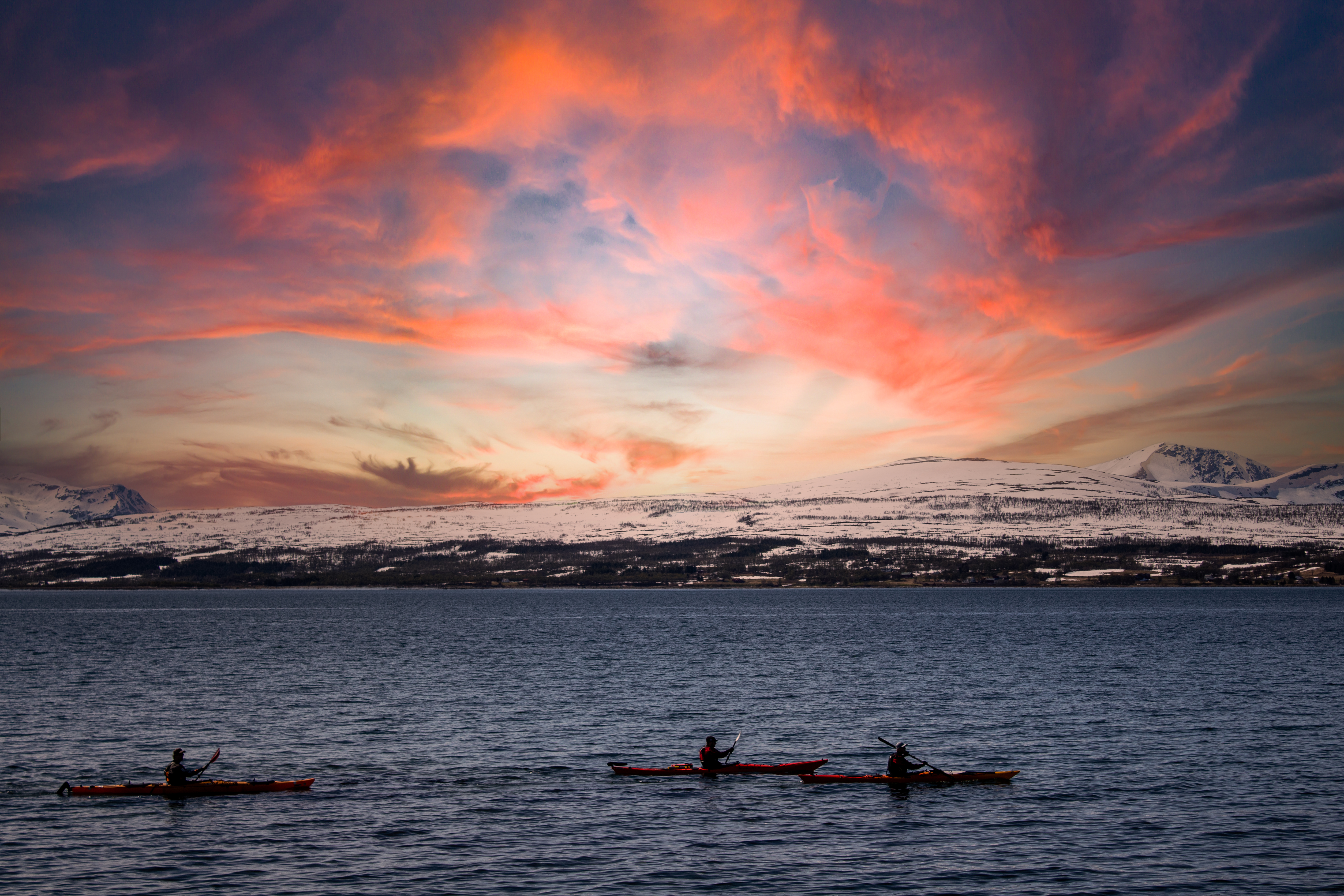 Smyrna’s Outdoor Adventure Center ignites learning and imagination — Photo by Mats Sindre Fjellheim on Pexels