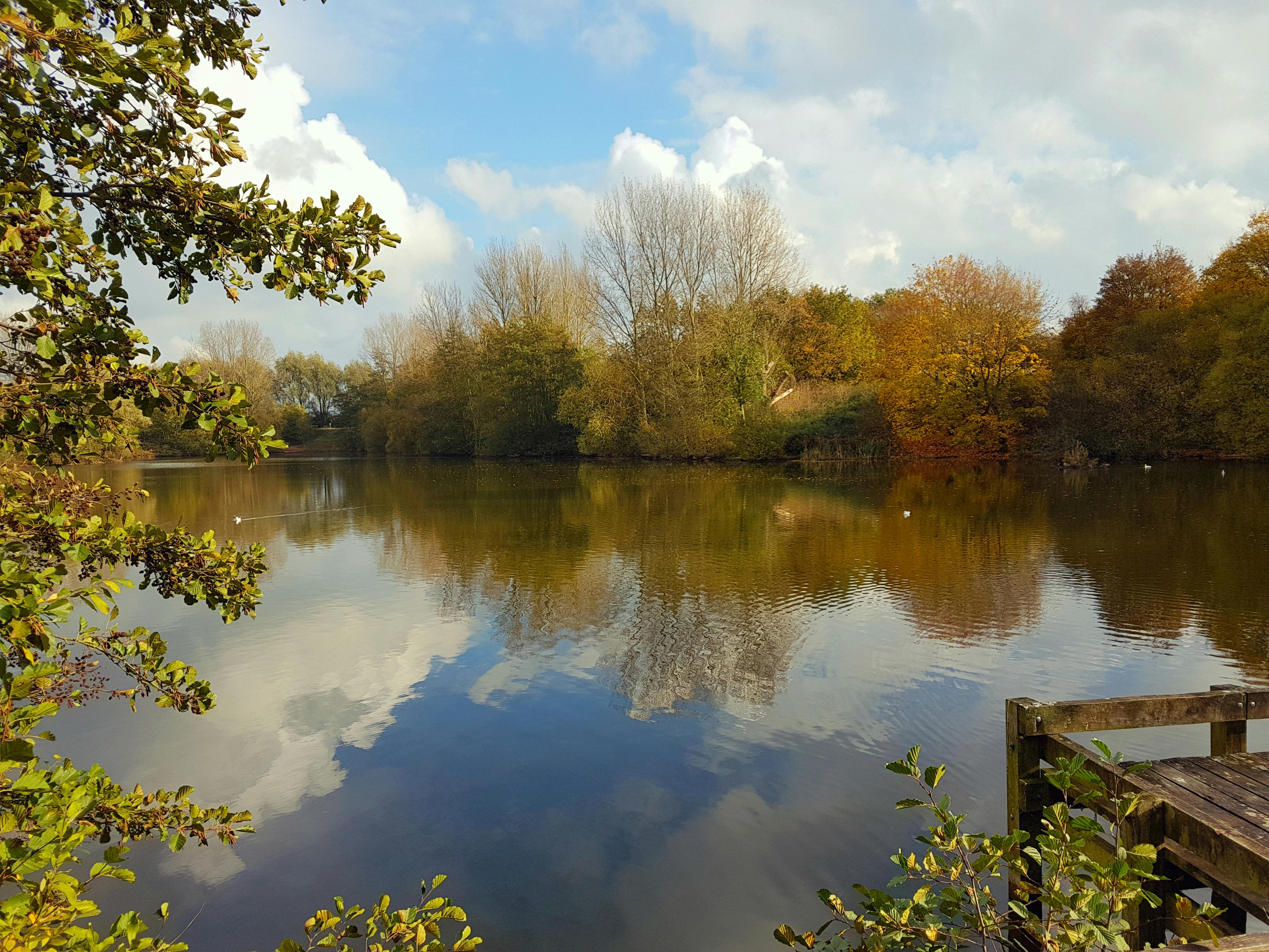 Free stock photo of calm, calm waters, fishing