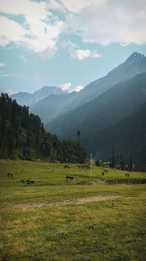 Free Beautiful rural landscape with grazing horses and majestic mountains under a blue sky. Stock Photo