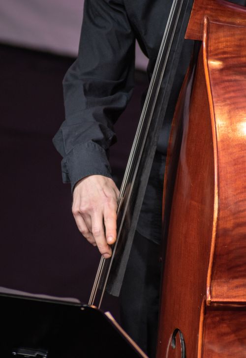 Free A close-up view of a musician's hand playing a cello during a concert performance. Stock Photo