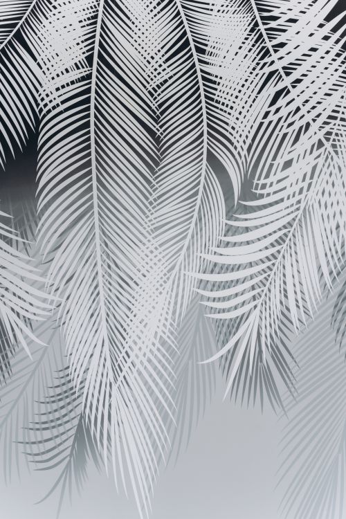 Free Artistic monochrome composition of palm leaves showcasing contrast in light and shadow, vertical orientation. Stock Photo