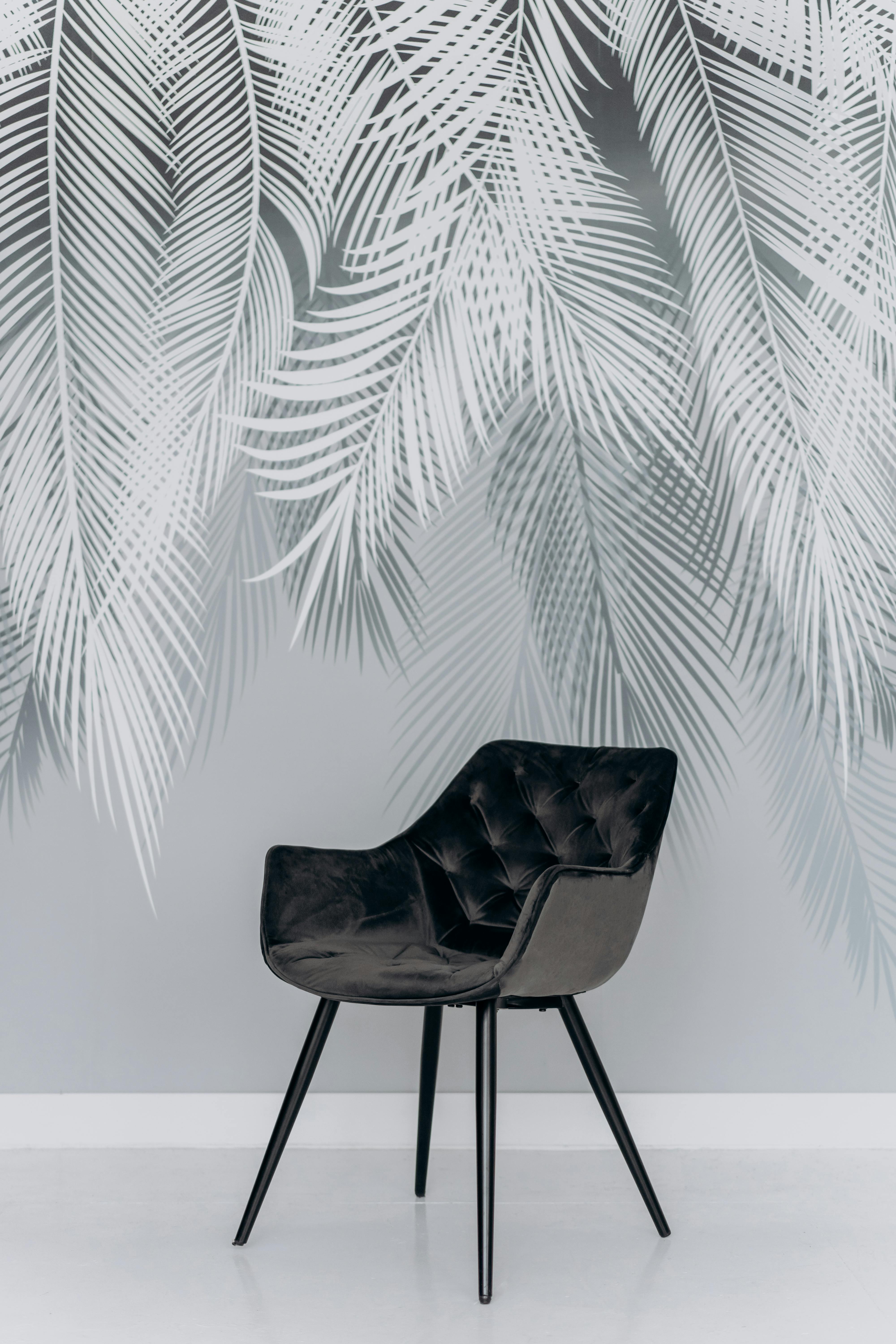 black chair beside green palm plant