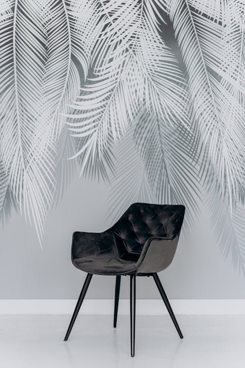 Black Chair Beside Green Palm Plant