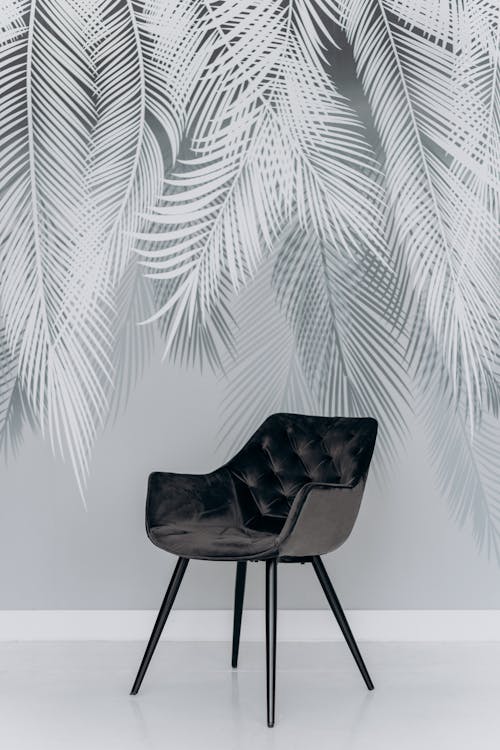 Free Black Chair Beside Green Palm Plant Stock Photo