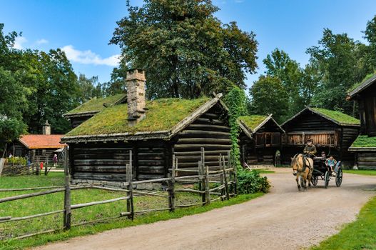 Wooden Houses with Sod Roofings