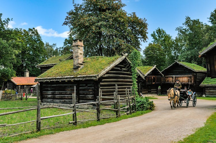 Wooden Houses With Sod Roofings