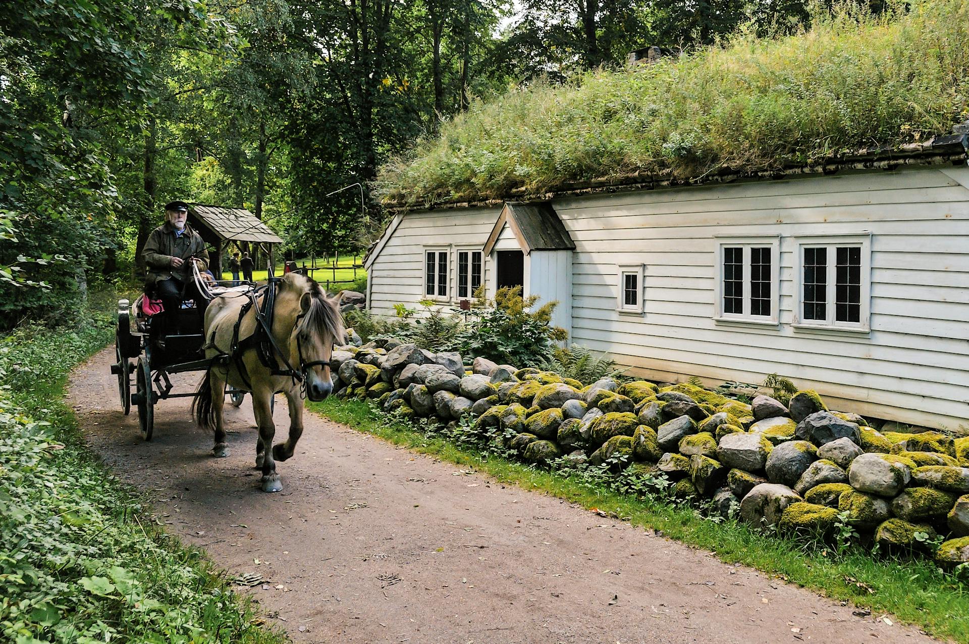 A picturesque scene of a horse-drawn carriage passing a turf roof wooden house surrounded by lush greenery.