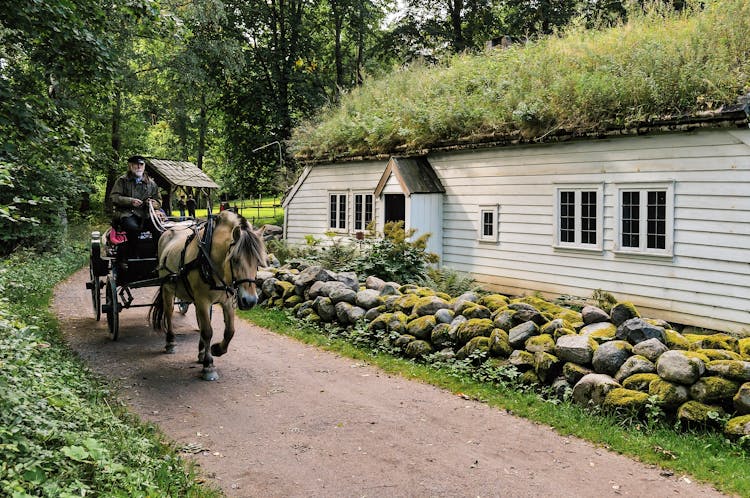 A Carriage Passing By A House With A Sod Roof