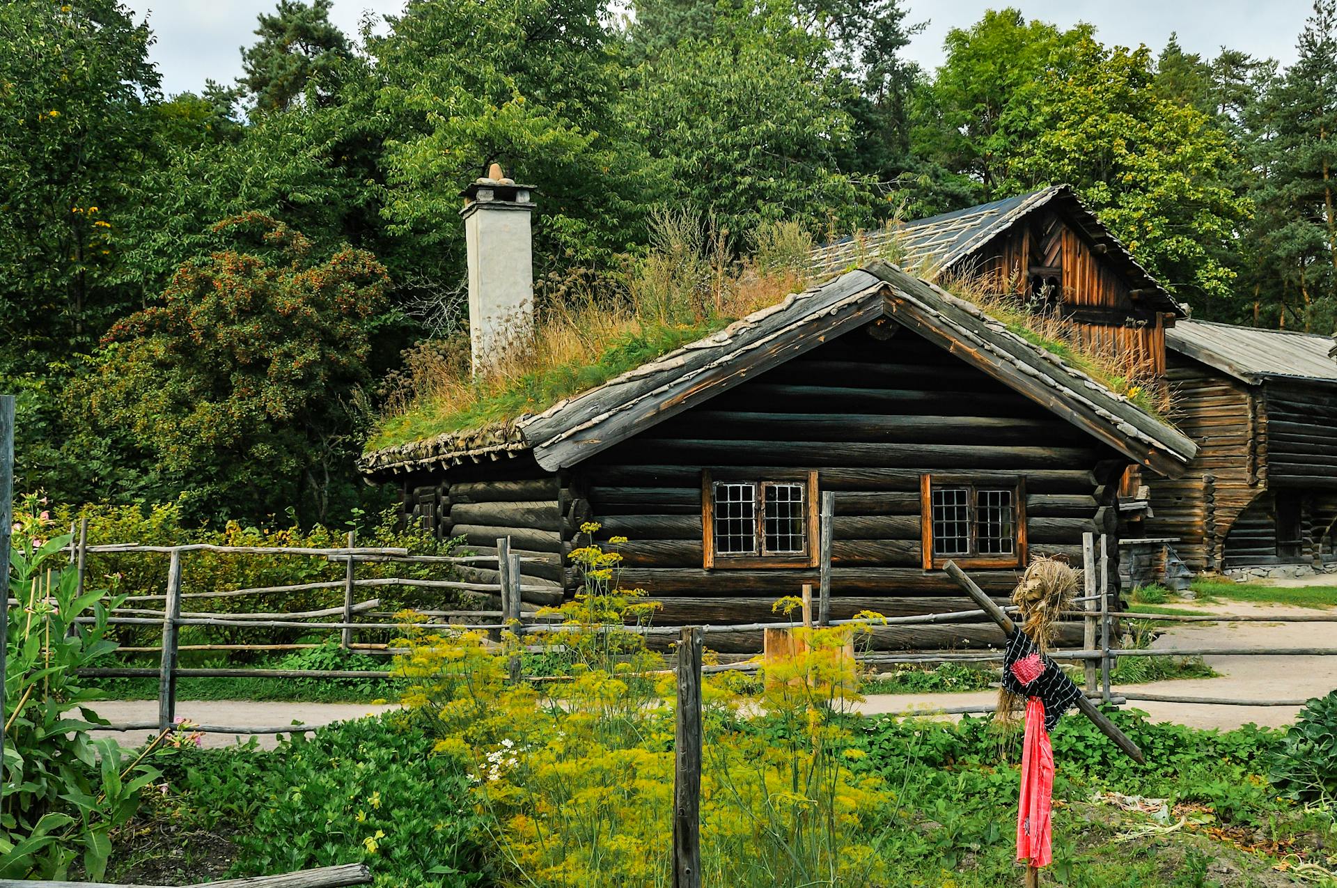 Charming wooden cabin with a turf roof surrounded by lush greenery.