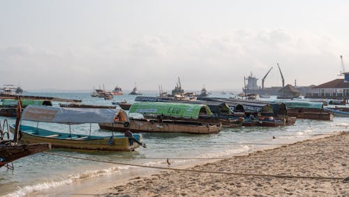 Free stock photo of boats