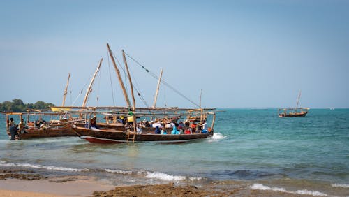 Free stock photo of boats