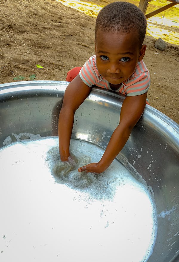 背面紫色的观叶盆栽是什么品种?-第1张图片-吾爱花网 背面紫色的观叶盆栽是什么品种?-第1张图片-吾爱花网