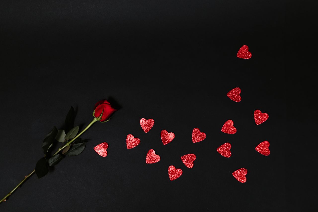 a dramatic image of a single red rose with scattered heart shapes on a
