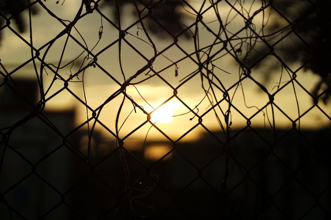 grátis Silhueta Fence Durante O Pôr Do Sol Foto profissional