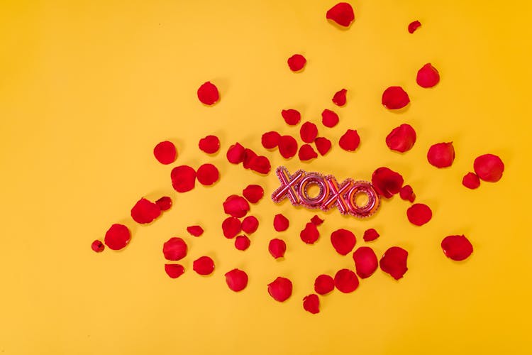 Xoxo Text And Red Flower Petals