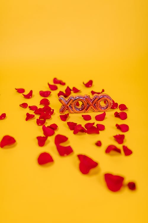 Free Xoxo Text and Red Flower Petals Stock Photo