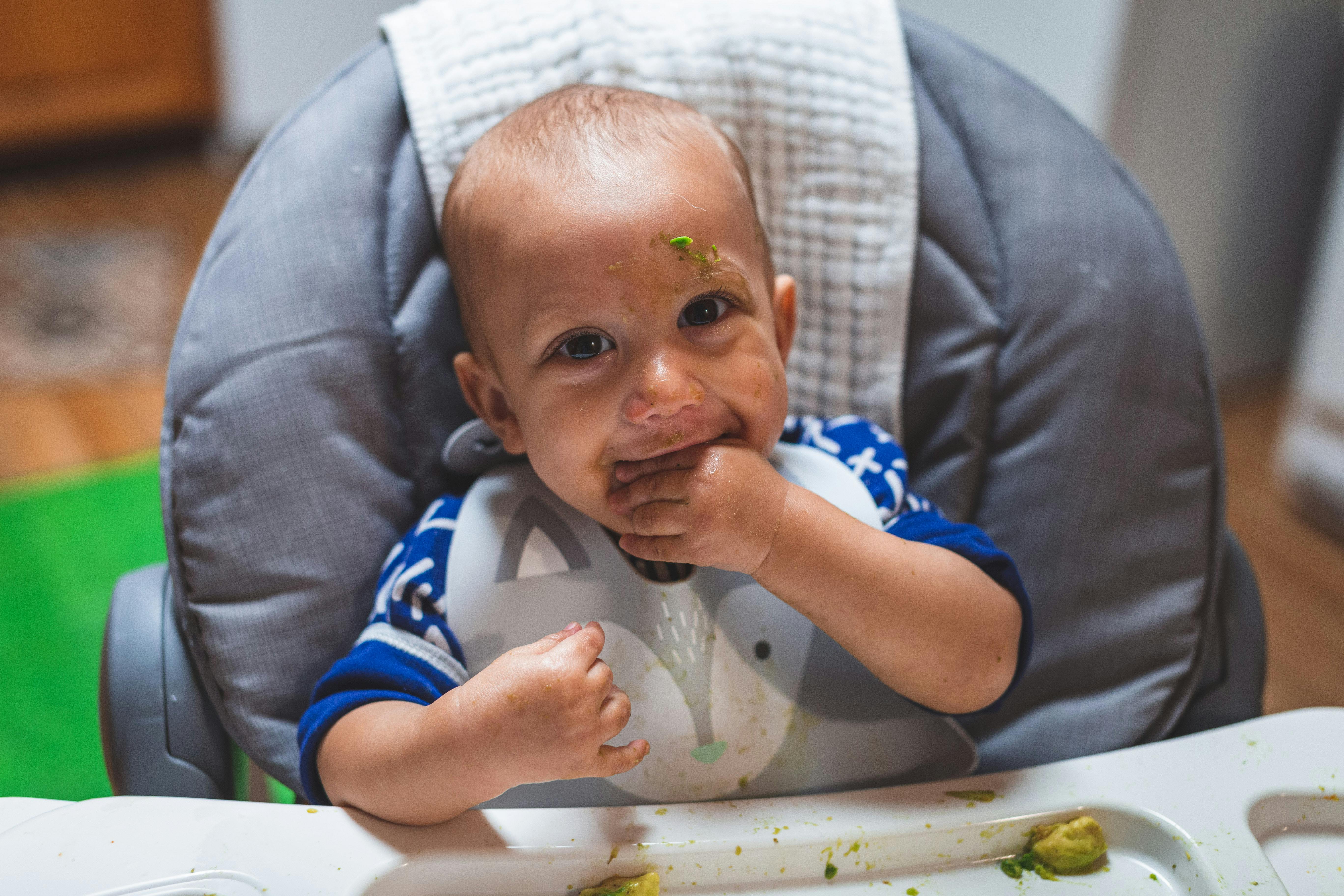 Build a Website for Your Baby Food Business