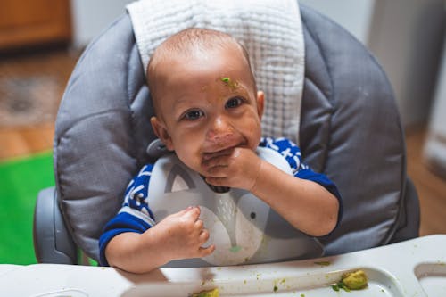 Foto profissional grátis de babador de bebê, bebê asiático, bebê comendo