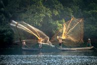 Unrecognizable men in oriental fishing boats throwing nets into rippled ocean against lush green trees