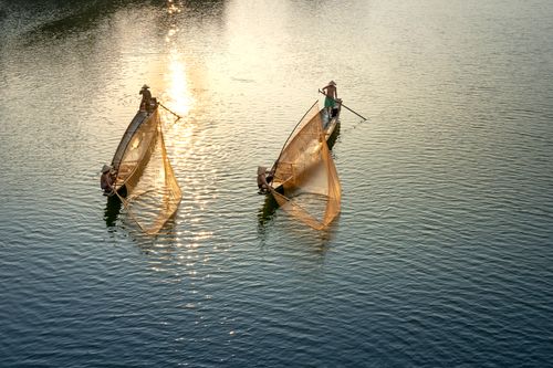 Free Drone view of unrecognizable men in boats with paddles and nets fishing in shiny sea in twilight Stock Photo