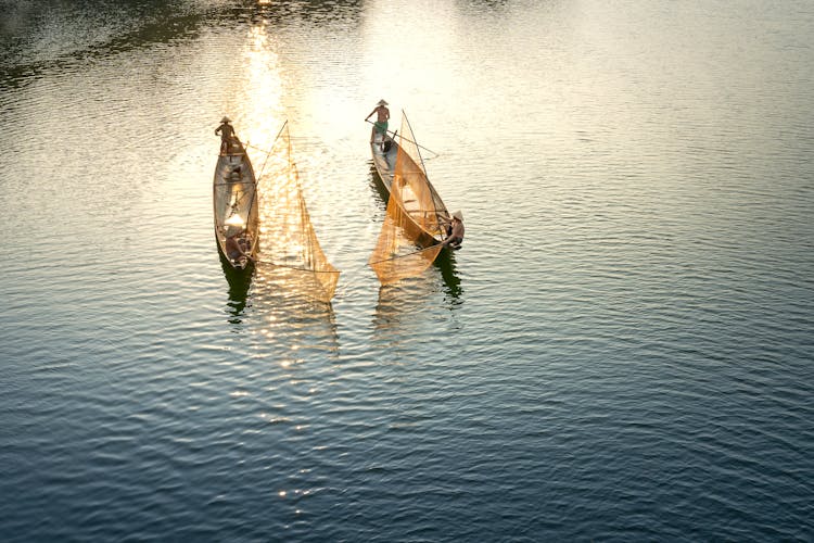 Unrecognizable Fishermen Catching Fish With Nets In Shiny Sea