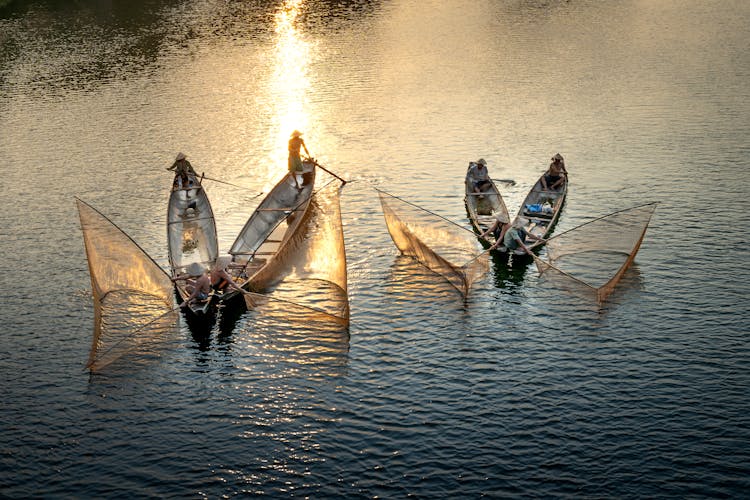 Unrecognizable Fishermen Catching Fish With Nets In Glowing Sea