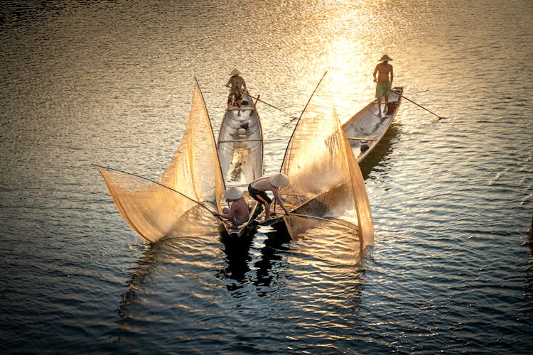 Unrecognizable Fishermen Catching Fish From Boats With Nets In Ocean