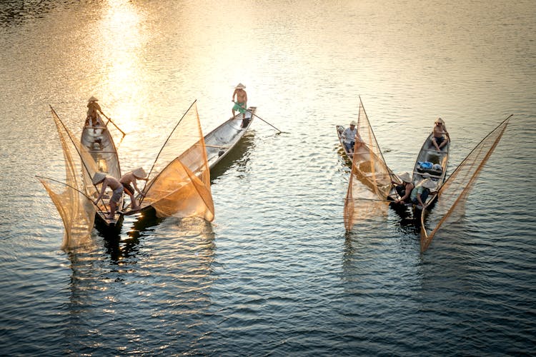 Anonymous Fishermen With Nets Catching Fish In Ocean From Boats