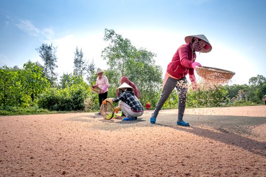 Women in Farming Face Higher Mental-Health Risks, Guelph Study Finds