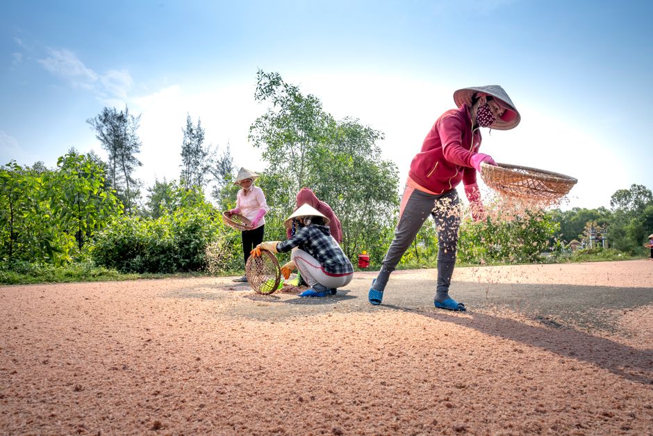 Women in Farming Face Higher Mental-Health Risks, Guelph Study Finds