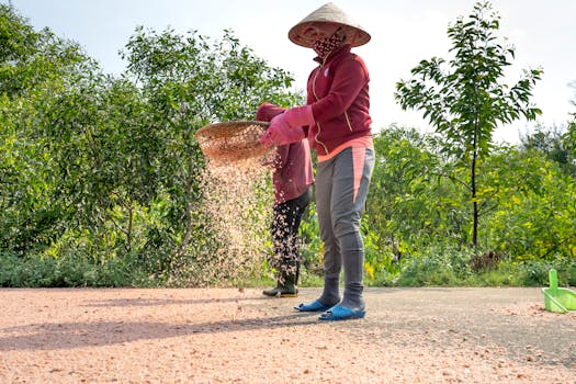 将小苏打均匀洒在地毯上进行清洁