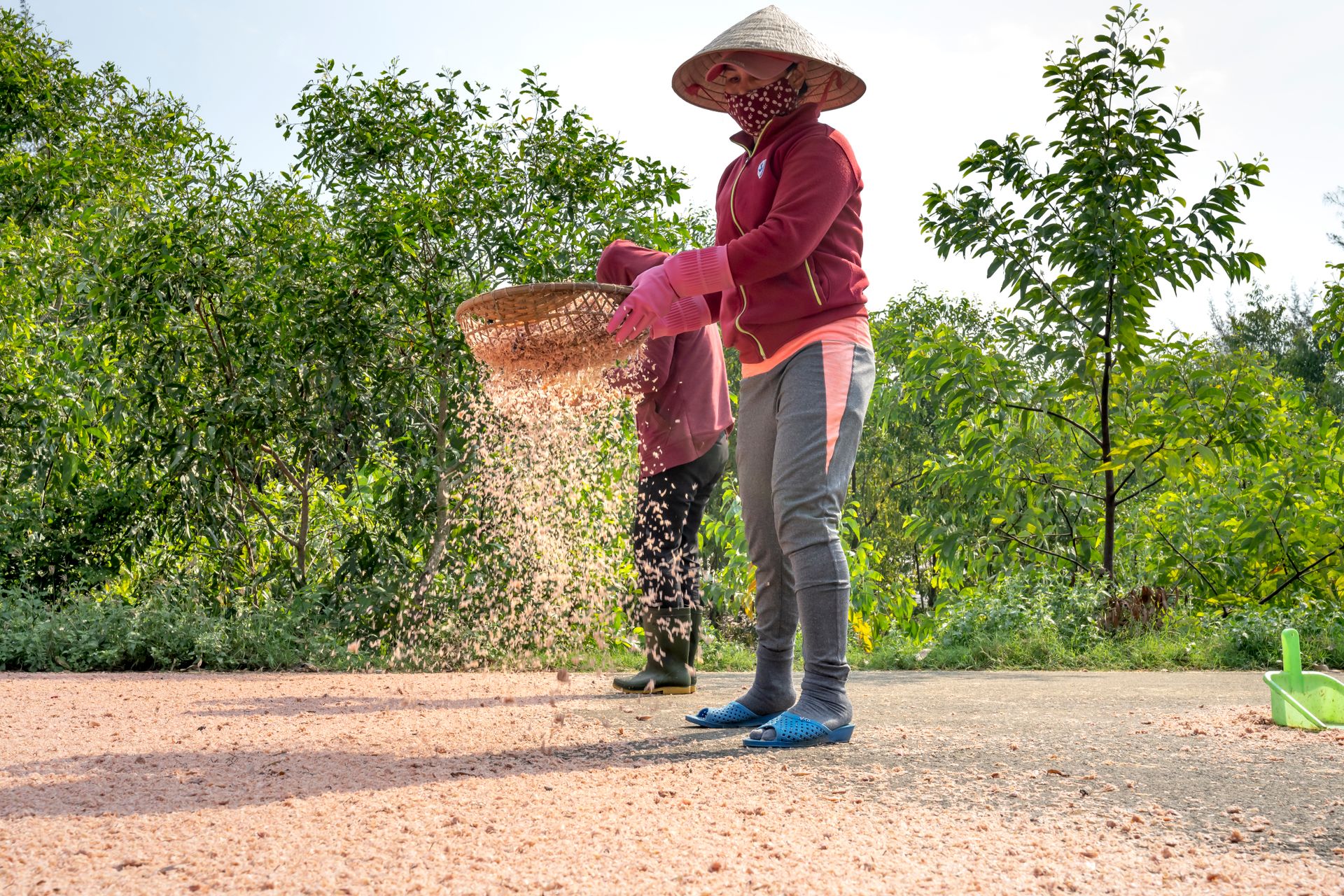 Women using traditional methods to sift grain in a scenic rural setting.