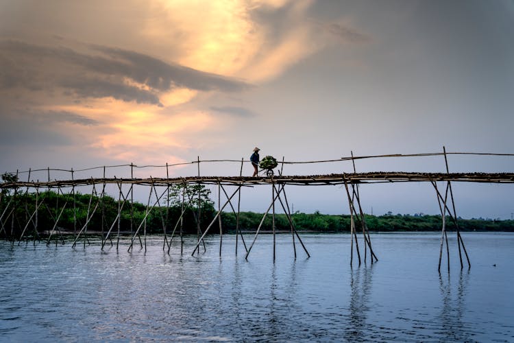 Unrecognizable Man With Gardening Cart Strolling On Footbridge Above Lake